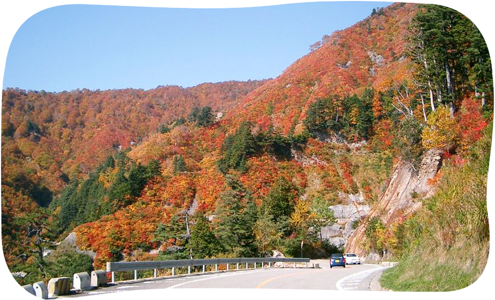 白山白川郷ホワイトロード